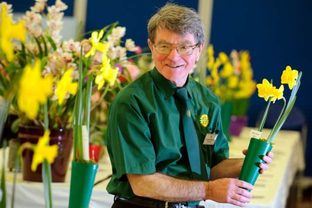 DELIGHTED Norman Newton, society steward, examining some daffodils. Pictures: Allan Hutchings (150615-648)