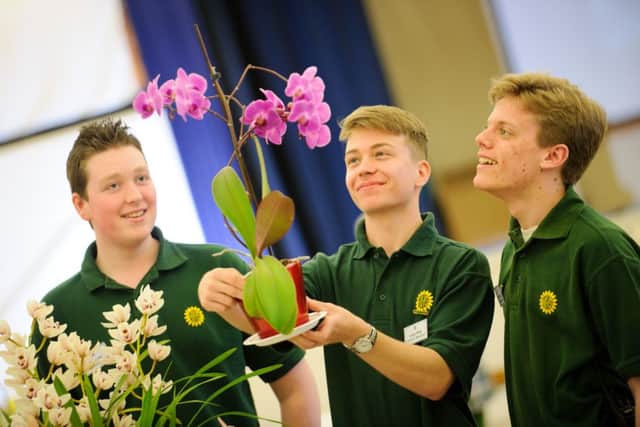 PRIDE From the left are society members Mat Lane, Louis King and Sam Fletcher with their award-winning orchid