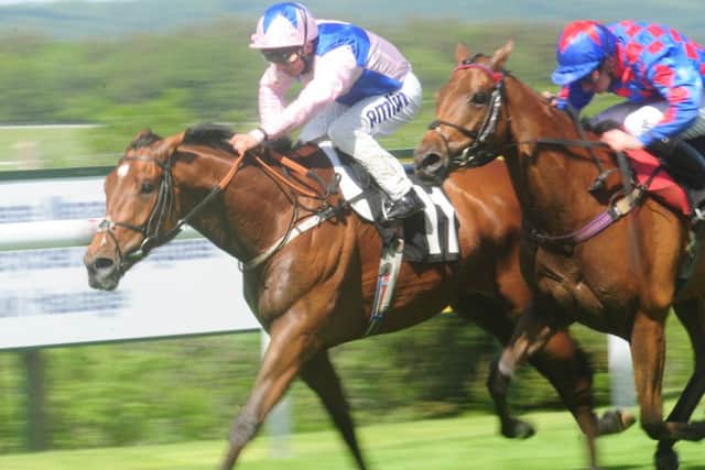 Story Writer was a popular winner for West Sussex trainer William Knight at the 2014 Goodwood May Festival / Picture by Kate Shemilt C140555-4