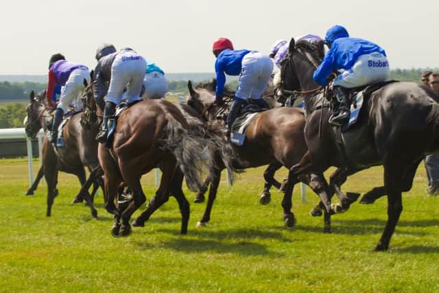 Friday is a day packed with Group races at Goodwood / Picture by Tommy McMillan