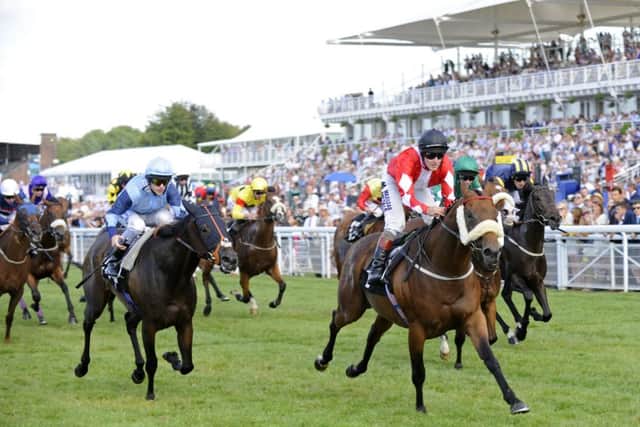 What will Tuesday's opening day of the festival hold in store? Picture by Malcolm Wells