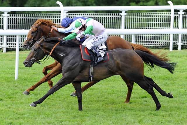 Goodwood's stable staff do a vital job in getting horses to the course / Picture by Malcolm Wells