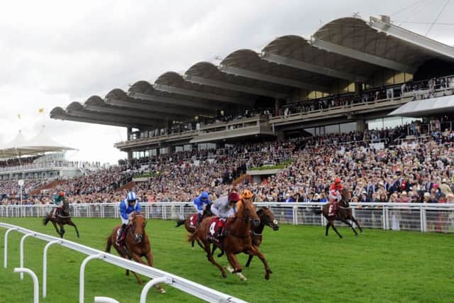 Follow all the the Goodwood action here / Picture by Louise Adams