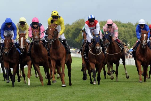 Mount Logan on the way to winning the opening race on day one under Adam Kirby / Picture by Louise Adams