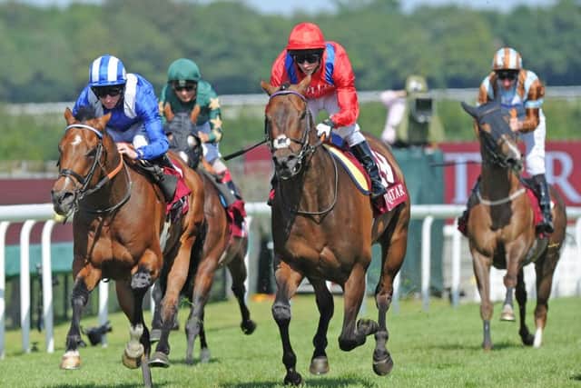 Muthmir edges ahead of Take Cover to win the King George Stakes / Picture by Malcolm Wells