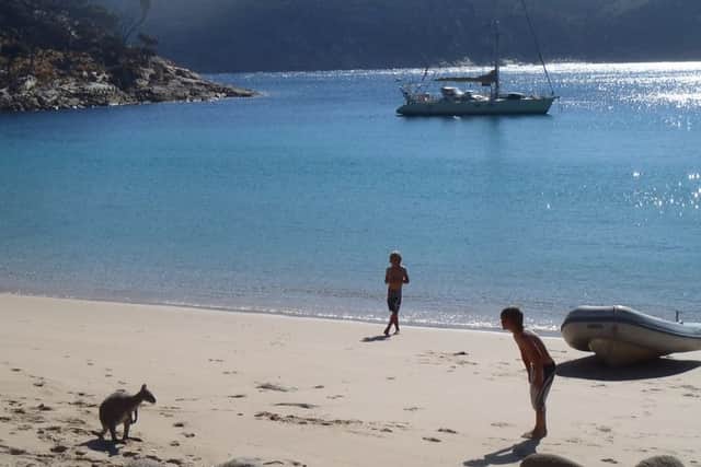 Meeting the wildlife on the beach at Deal Island in Tasmania