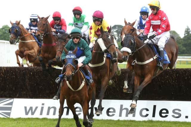 Jumps action at Fontwell / Picture by Nigel Bowles