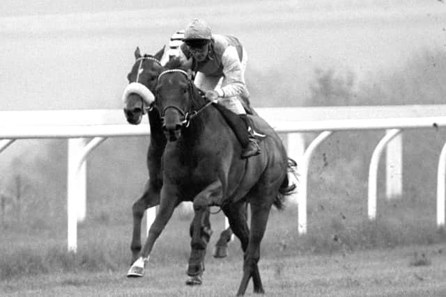 Pat Eddery partners Rainbow Quest to Clive Graham Stakes at Goodwood in 1985