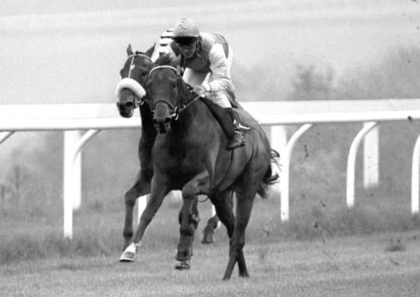 Pat Eddery partners Rainbow Quest to Clive Graham Stakes at Goodwood in 1985
