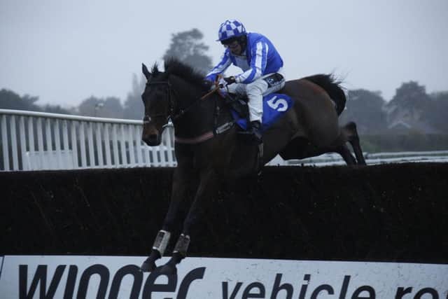 Jumps action at Fontwell / Picture by Clive Bennett