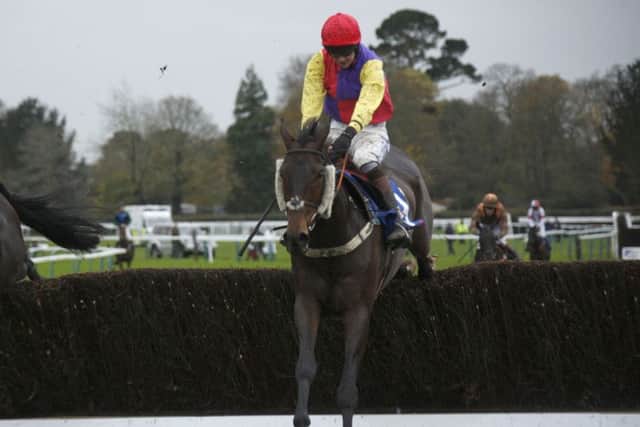It's your last-but-one chance to see racing at Fontwell this year / Picture by Clive Bennett
