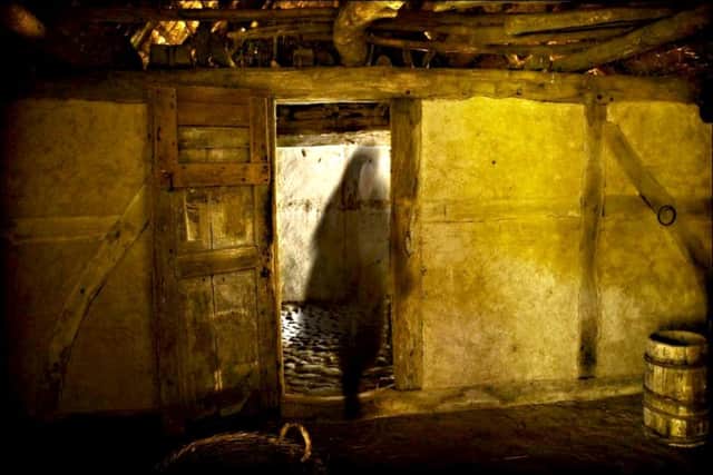 Frozen in Fear is the first of our Christmas ghost stories to be published.  Niall Dorrington was runner-up in a 15-and-under category