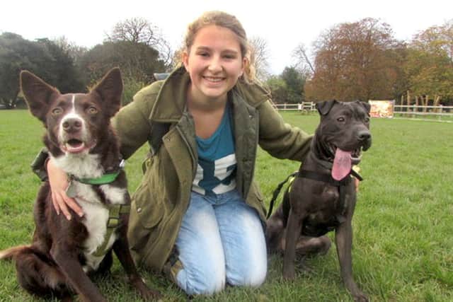 Daisy the sharpei has been fostered by
Pamela and Amelia Beards, who also own Woody the dog