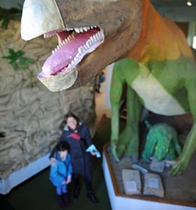 Cumberland House Natural History Museum in Southsea