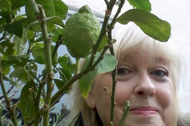 Sue Cattermole waiting for her lemon to ripen and for the gin to arrive.