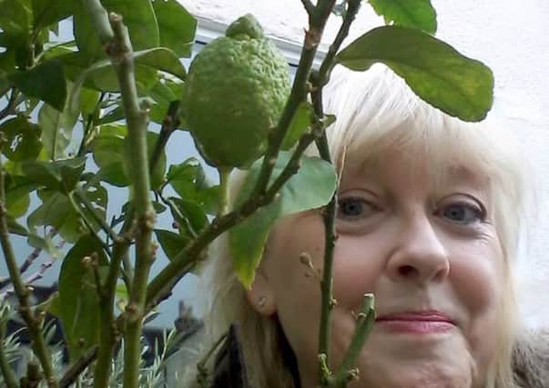 Sue Cattermole waiting for her lemon to ripen and for the gin to arrive.