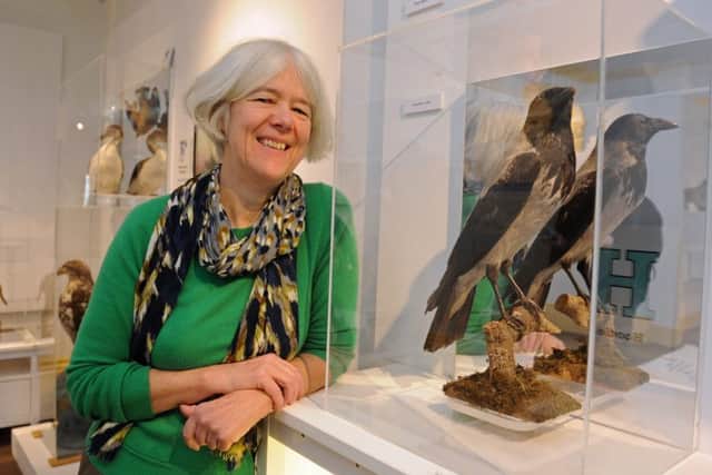 Dr Jane Mee, museums services manager, at Cumberland House Natural History Museum