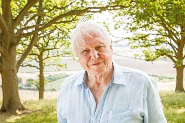 Attenborough and the Giant Dinosaur. Picture: Emilie Sandy