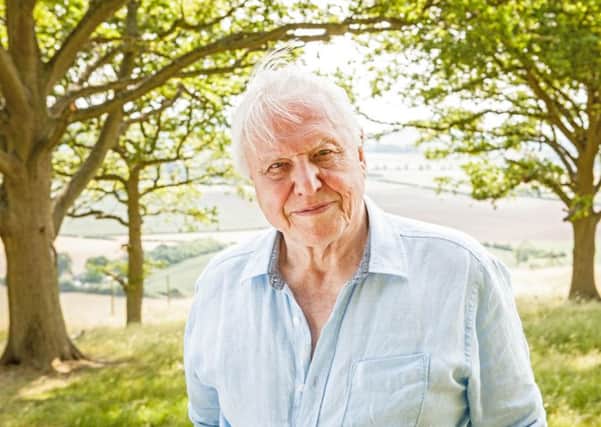Attenborough and the Giant Dinosaur. Picture: Emilie Sandy