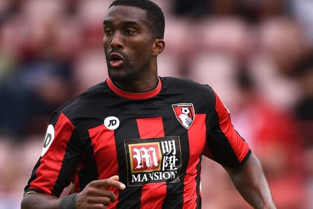 Bournemouth defender Sylvain Distin