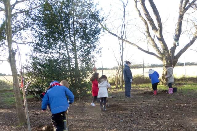 ENVIRONMENTALLY-FRIENDLY Tree planting at Wicor Primary School in Portchester