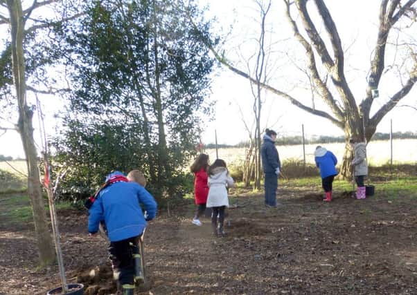 ENVIRONMENTALLY-FRIENDLY Tree planting at Wicor Primary School in Portchester