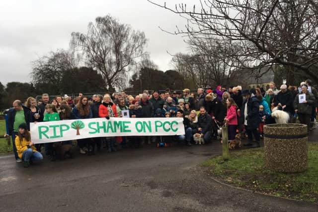 Protesters at St James' Hospital site in Milton.