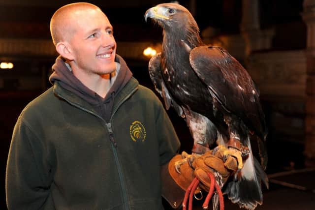 Gerry the golden eagle with handler John Picton at the Kings Theatre
Picture: Sarah Standing (160201-1743)