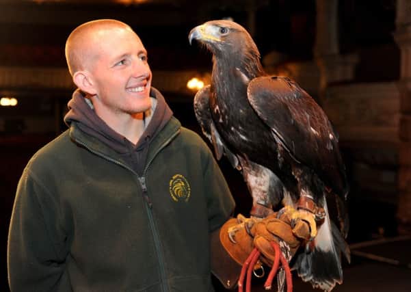 Gerry the golden eagle with handler John Picton at the Kings Theatre 

Picture: Sarah Standing (160201-1743)