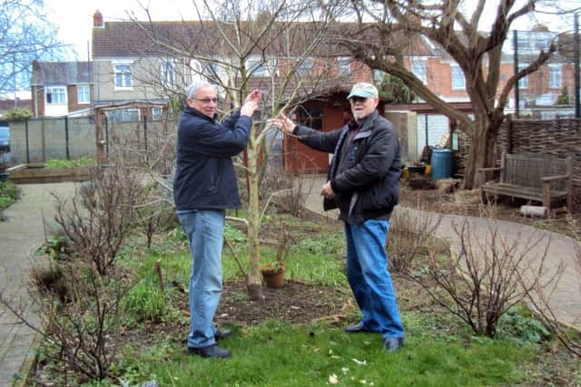 Barrie Thorne and Peter Robertson at the Stacey Community Orchard