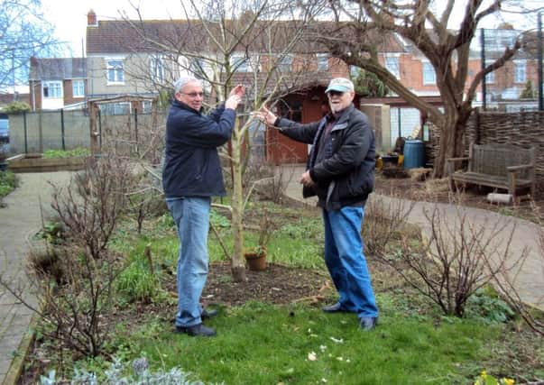 Barrie Thorne and Peter Robertson at the Stacey Community Orchard