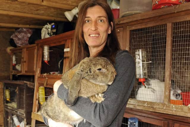 Vanessa Taylor with Darcy, a French Lop rabbit Picture: Malcolm Wells (160212-8244)