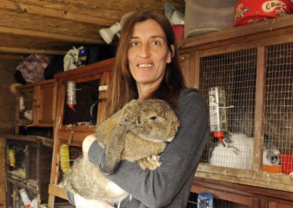 Vanessa Taylor with Darcy, a French Lop rabbit 

Picture: Malcolm Wells (160212-8244)