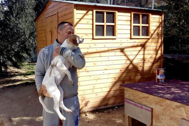 NEW HOME Theoklitos Proestakis with Hope, a rescue dog.