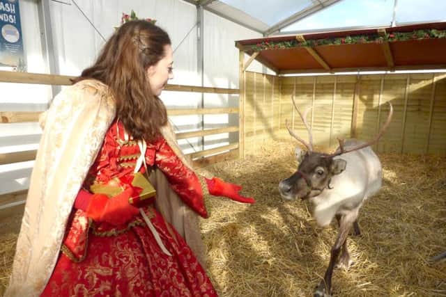 A princess who visited the garden centre every weekend as part of the festive celebrations