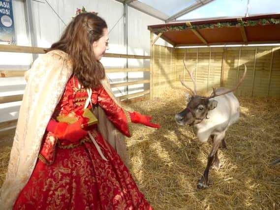 A princess who visited the garden centre every weekend as part of the festive celebrations