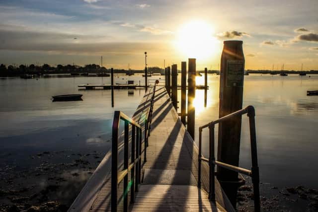 Sandra Sniezek's picture for January in the Emsworth calendar