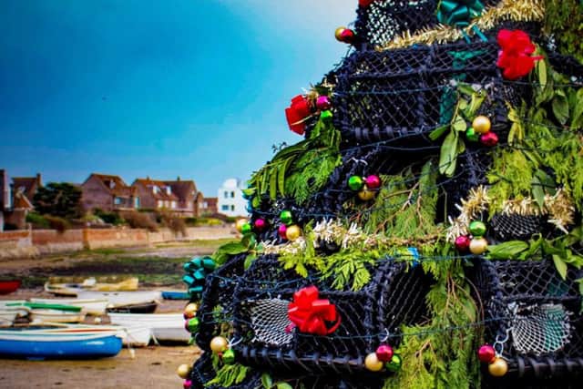 Vince Lavender's close-up of the Lobster Pot Tree is December