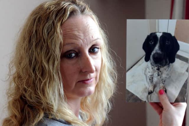 ks1600050-1 LittAlabama Rot  phot  kateNicky Cornford with a picture of Dash.ks1600050-1 SUS-160223-184630008