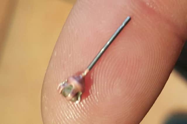 An earring that was found in Ruby Higgs' daughter's food at Pizza Hut in Port Solent in Portsmouth