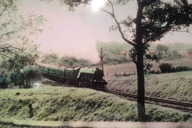 The Flying Scotsman west of Funtley in 1966