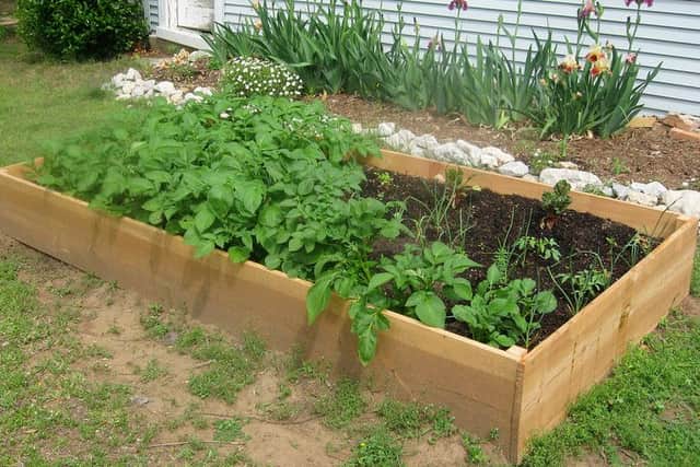 A raised bed -  ideal for an allotment on poor ground