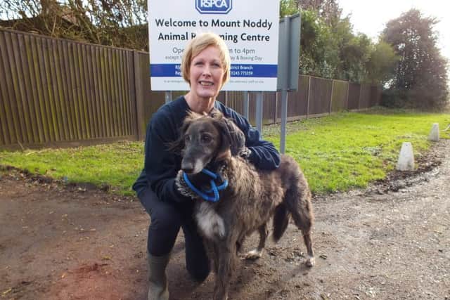 Mounty Noddy volunteer Angela Birch with Lex
