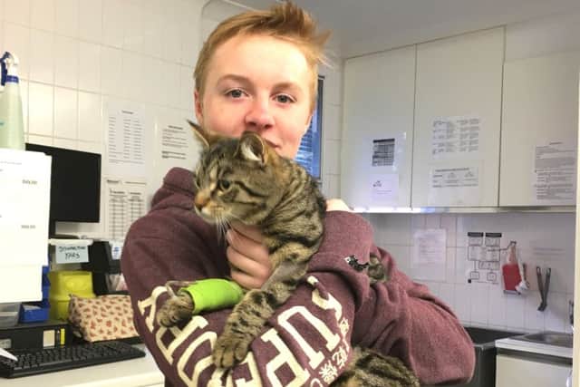 Abby Phillips' cat Alice, held by her son Ben, was shot in Cowplain