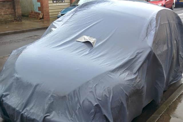 The covered Beetle left in Buckland