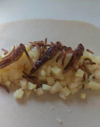 The filling for the bushtucker pasty made by Rich Shaw