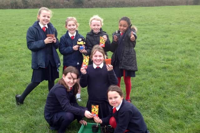 BUZZING Students at St Albans Primary School get ready for the Polli:Nation project