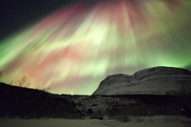 The beauty of the Northern Lights Picture:: Arctic Guide Service