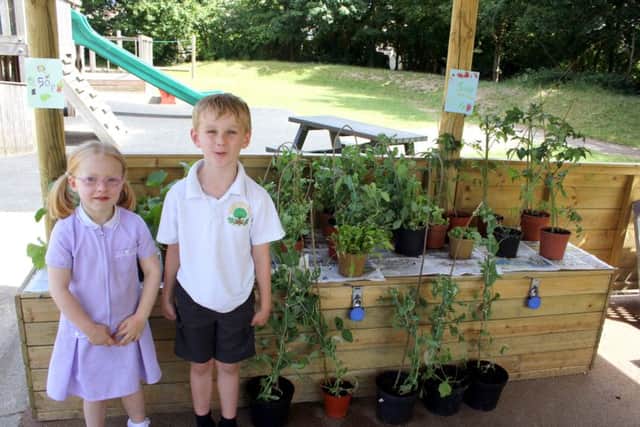 GREEN FINGERS Benjamin Saunders and Elizabeth Pearson from Padnell Infant School who took part in the scheme last year