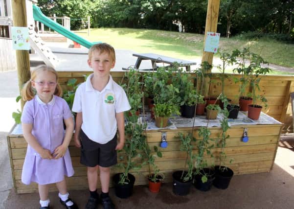 GREEN FINGERS Benjamin Saunders and Elizabeth Pearson from Padnell Infant School who took part in the scheme last year